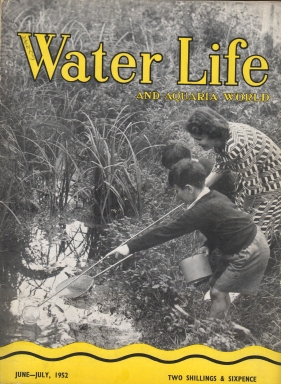 Water Life Cover